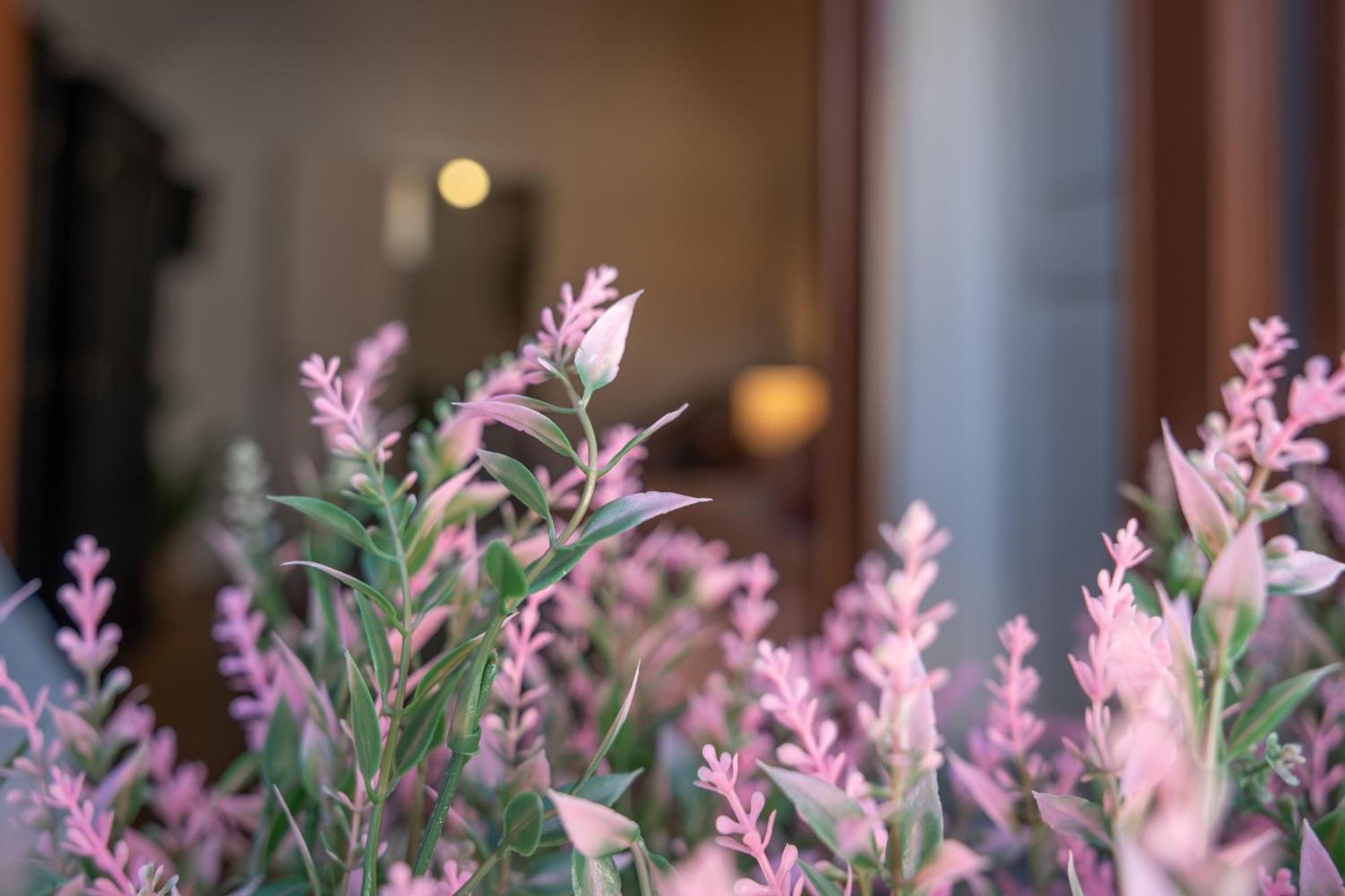 Mirone - Suite Apartments Catania Centro Dış mekan fotoğraf